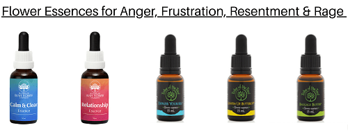 Flower Essences for Anger, Frustration, Resentment & Rage